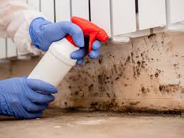 Why You Should Choose Our Mold Remediation Services in New Castle Northwest, PA